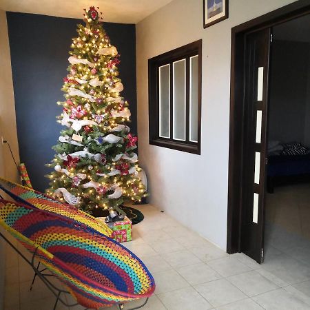 OaxacaMontealban House住宿加早餐旅馆 外观 照片
